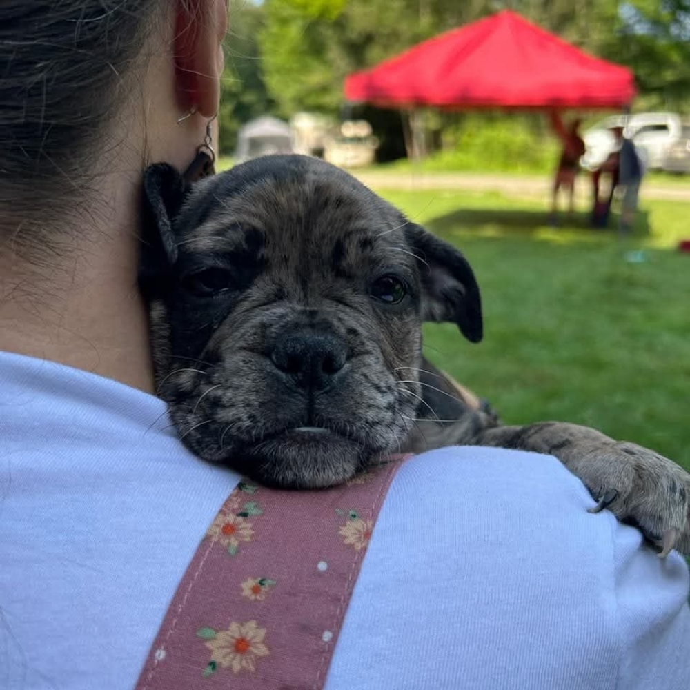 Meet your Posher, Kristin